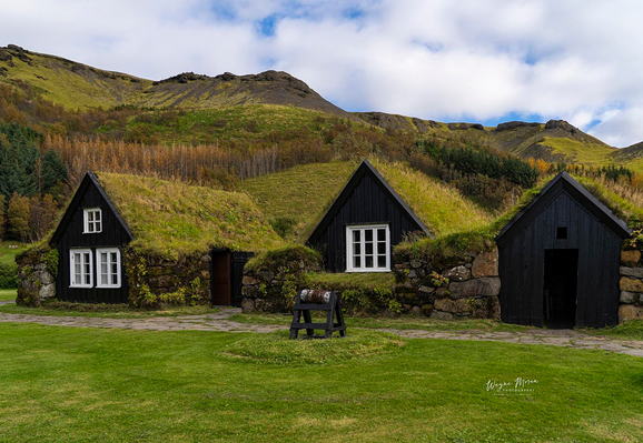 Icelandic Turf Houses – Skógar Museum

These beautifully preserved turf houses at Skógar Museum (Skógasafn) near Skógafoss, Iceland, offer a rare glimpse into the country’s traditional architecture and way of life. Built with thick stone walls and grass-covered roofs, these homes were ingeniously designed to provide warmth and protection against Iceland’s fierce winds and long winters.

Part of the museum’s open-air collection, the turf houses recreate a 19th-century Icelandic farmstead, complete with living quarters, storage rooms, and workshops. Their dark timber frames contrast strikingly against the lush green hillside, symbolizing the harmony between human craftsmanship and the rugged natural world.

Founded in 1949, Skógar Museum preserves more than 18,000 artifacts across its Folk, Maritime, and Technical collections. Together they tell the story of how Icelanders endured isolation, harnessed the land and sea, and built a resilient culture rooted in creativity and faith.

#Image:
https://fineartamerica.com/featured/icelandic-turf-houses-skogar-museum-wayne-moran.html

Read more:
https://waynemoranphotography.com/blog/chasing-light-across-iceland-our-21-day-adventure/

#TurfHouses #SkógarMuseum #museum #Vik #landscape #Iceland #nature #travelPHotogrpahy #Landscape #art #fineart 

#ayearforart #buyintoart