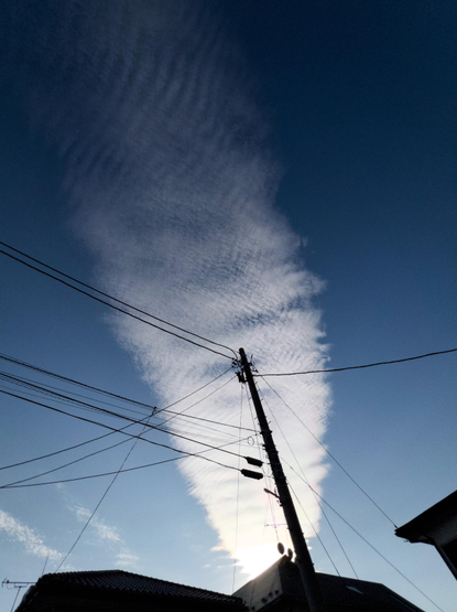 The roofs of three houses are silhouetted against an inky blue sky. A pole supporting telephone and power lines dwaves the buildings. Cables stretch left and right out of the frame. But the image is dominated by a plume of gleaming, ribbed cloud. It looks like a single rabbits ear which looses definition as it reaches the upper edge of the image and is at its most intense as it disappears behind the central house.