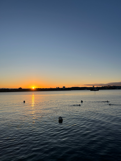 Sonnenaufgang über der Kieler Förde