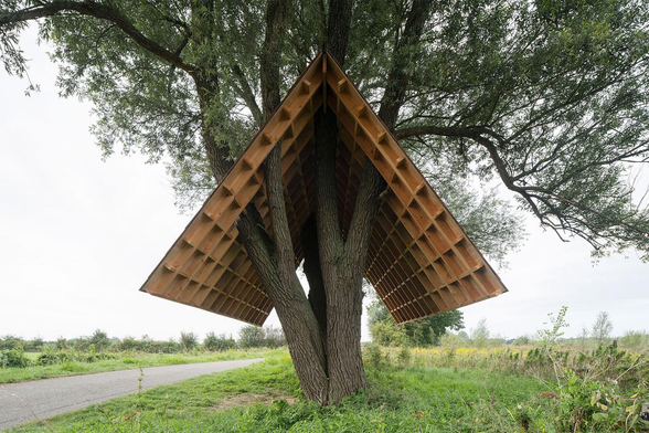 A public art installation featuring a large wooden shelter seamlessly integrated into a tree.