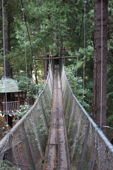 View along a suspended walkway high in some trees.