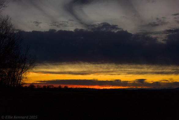 A dark foreground with the branches of a bare tree silhouetted in the left of the frame with a slash of red on the horizon, a strip of dark cloud above then a golden band, then another thick band of dark cloud and some wispy swirly grey clouds in a lighter grey sky above.