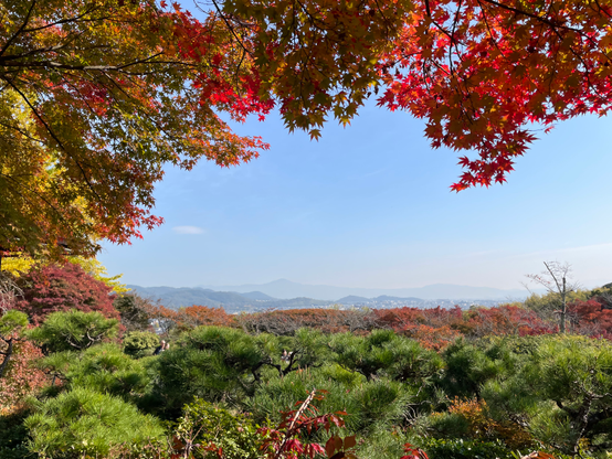 The view to the northwest across Kyōto, with Mt. Hiei in the distant haze