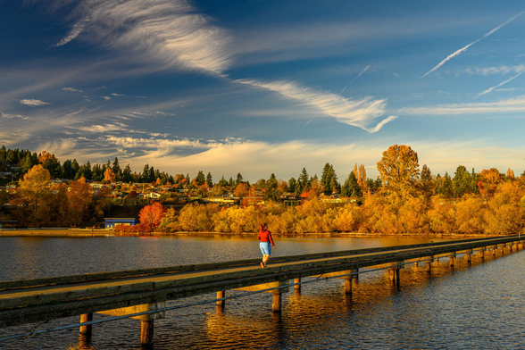 Color photo.  A long wooden pier crosses the bottom of the frame diagonally, above softly rippling water reflecting it.  A person in blue knee length tights and a red long sleeved shirt is walking away from the viewer along the pier.  At the end of the pier, the shore is lined with golden trees, with houses on a slope above.  The sky is a dark blue with wispy clouds.