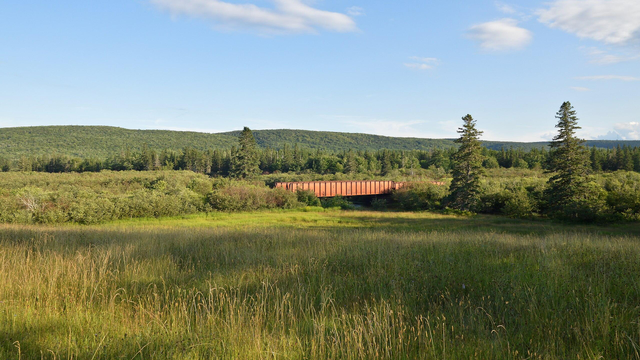 A photo of a field. There's a red railway bridge crossing a small river. There are two small but prominent conifer trees to the right of the image. There are hills covered in forest in the distance. The sky is blue with a few white clouds in it.
