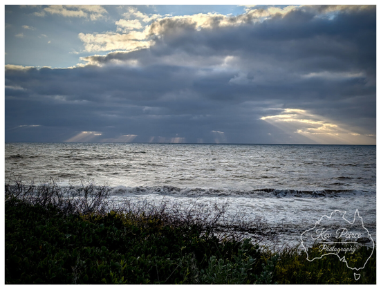 A dramatic seascape photograph taken on the Bunbury coast. The foreground features dark green, dense coastal scrub and bushes. The mid ground is a choppy, dark ocean with white breaking waves rolling towards the shore.  The horizon is visible under a vast, moody sky dominated by heavy grey clouds, with bright pockets of sun breaking through on the left and right, casting distinct light rays onto the water.