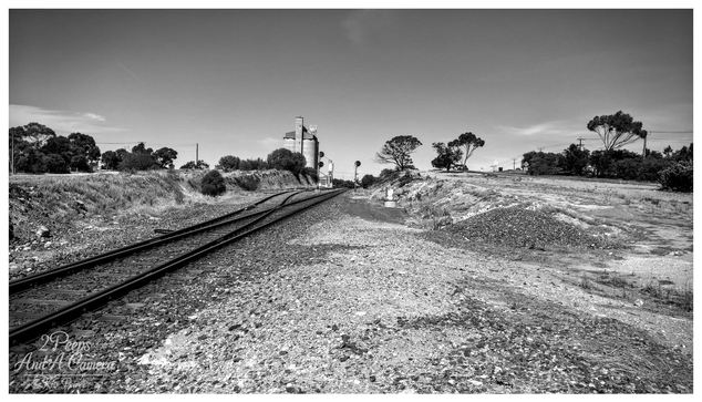 A low angle, black and white photograph showing a set of railway tracks diverging slightly in the foreground and receding into the distance.

The tracks are surrounded by ballast and dry grassy embankments. In the distance, a cluster of grain silos and associated structures are visible, flanked by trees under a clear, bright sky. Photo by Kev Peirce.