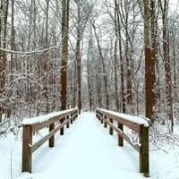 Noble Gardener: Time to chill! A winter respite for busy gardeners | Features