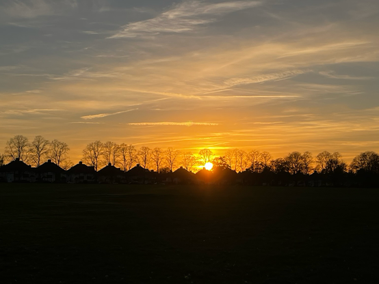 Beautiful orange sunset over trees. 