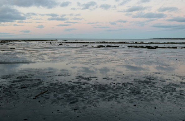 Photograph of a sandy beach at low tide and sunset. The sky is a very pale blue with only faint hints of pink and orange and small clouds in the upper part of the image. The receding water on the beach reflects the pink and blue of the sky onto the grey sand, with ripples in places. A larger pool of water reflects the clouds in the centre of the image. Dark rocks appear further in the background.

Photographie d'une plage de sable à marée basse et au coucher de soleil. Le ciel est bleu très pâle avec seulement des lueurs pâles de rose et d'orangé et de petits nuags, dans le haut de la photo. L'eau descendante sur la plage reflète le rosé et le bleu du ciel, sur le sable gris, avec des ondulations par endroits. Une flaque d'eau plus grande reflète  les nuages au centre de la photo. Des rochers noirs apparaissent plus loin derrière.