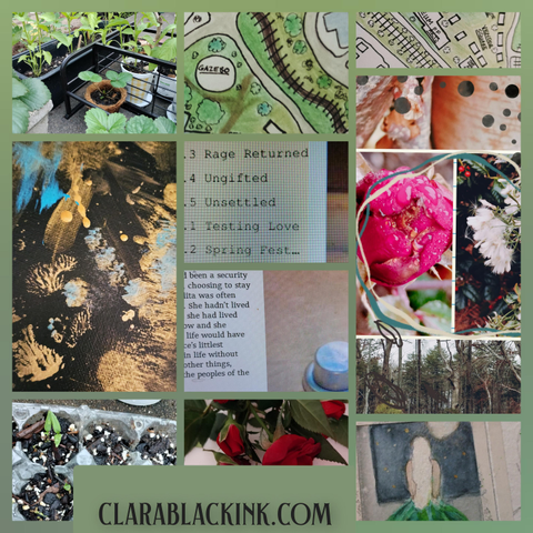 Collage of images. Top row is some plants in planters, a overhead map with a gazebo, some textural images. Next row is abstract art, a chapter guide with titles: Rage Returned, Ungifted, Testing Love, Spring Fest and then images of flowers. Below those are a bit of text that's cut off and an image of a forest. Last row is seedlings, some red rosebuds and a partly finished watercolor of a woman looking at the moon. Final text is a weblink for clara black ink dot com