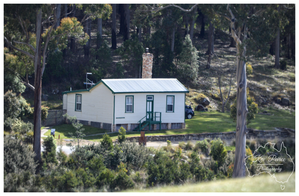A photograph of a small, one story white and cream cottage with a dark green trim, featuring a brick chimney and a small set of dark green stairs leading to the front door.  The house is situated on a grassy slope, backed by a dense, dark forest of tall trees. A vehicle is partially visible parked on the right side of the house.  The foreground shows various shrubs and trees, with a distinctive light barked tree framing the right side of the image.