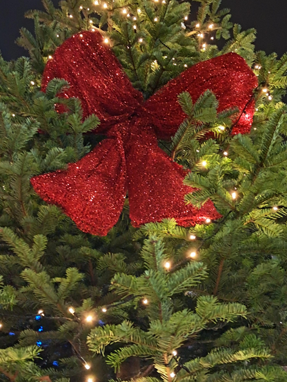 “Come in, come in! and know me better, man! I am the Ghost of Christmas Present. Look upon me! You have never seen the like of me before!” ― Charles Dickens, A Christmas Carol
