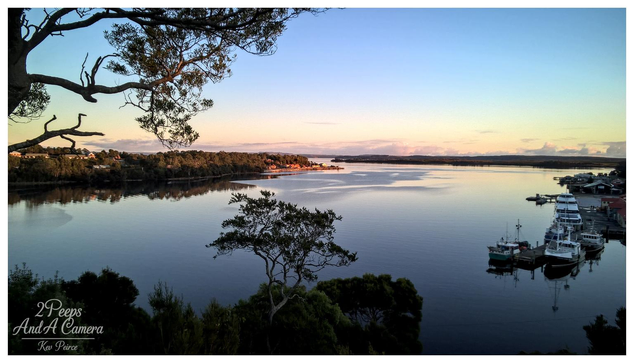 A wide, horizontal view of Macquarie Harbour in Strahan, Tasmania, at sunset. The calm water reflects the soft gradient of the sky, which transitions from pale blue at the top to a warm orange pink near the horizon.

In the foreground, dark, lush foliage and a single small tree on an outcrop frame the scene, with the silhouette of a large tree branch extending over the upper left.

To the right, several fishing boats are moored near a dock and a cluster of low buildings.