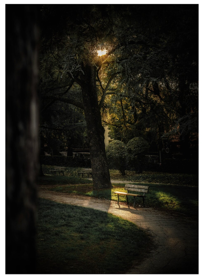 A photograph of a dimly lit, serene park in the late afternoon. A solitary wooden bench is positioned on a gravel path beneath a large, leafy tree. Sunlight filters through the tree's branches, casting a warm, golden glow on the bench and surrounding grass. The background is cast in shadows, with other trees and a faintly visible fence.