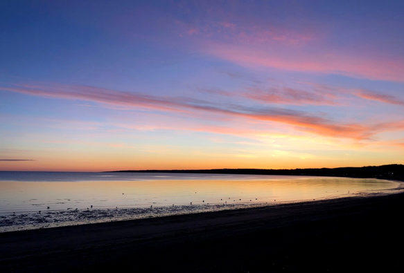 Photograph of a colourful sunrise over a bay, with the beach in the foreground and the coastline curving towards the horizon. The sky is a reddish hue near the horizon to the left and more orange to the right, with pink higher up reflecting off the horizontal clouds in the middle of the sky, and blue at the very top. The colours are reflected in the almost calm water of the bay. Dozens of gulls forage for food in the sand close to the water's edge.

Photographie d'un lever de soleil coloré au-dessus d'une baie, avec la plage en avant-plan et la côte qui se recourbe à l'horizon. Le ciel est rougeoyant près de l'horizon vers la gauche et plutôt orangé à droite, avec du rose plus haut qui se reflète sur les nuages horizontaux au milieu du ciel, et du bleu complètement en haut. Les couleurs se reflètent sur l'eau de la mer presque calme dans le baie. Des dizaines de goélands cherchent de la nourriture dans le sable tout près de l'eau.