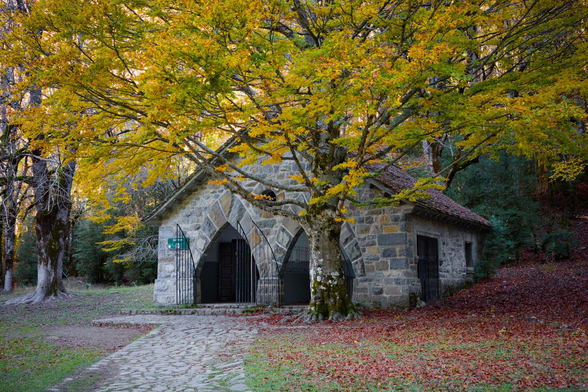 Fotografia de una casa tras un arbol centenario. Un camino de piedra en la parte inferior izquierda del cuadro lleva a una casa de piedra también. Frente a ella hay un haya centenaria con el follaje amarillo anaranjado del otoño, bajo ella el suelo esta cubierto fe hojas rojas. Tras la casa se ve la espesura del bosque.