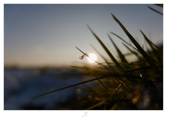 The Drop
Close-up of an ice drop on a blade of grass against the blue sky. The drop is in focus, the rest is blurred. The image was taken shortly before sunset. The sun can be seen as a round white circle directly behind the blade of grass to the right of the drop, creating some reflections in the ice drop. The colors are dim, consisting mainly of light blue and some orange towards the horizon. The surrounding and also backlit blades of grass form dark contrasting lines.

AI disclaimer: Using my work, its meta data, written or derived description to create media with or train AI based systems is prohibited.