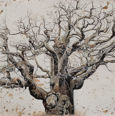 A painting of the major oak of Sherwood Forest, large old tree in the centre of the page in earth tones surrounded by ink splashes.