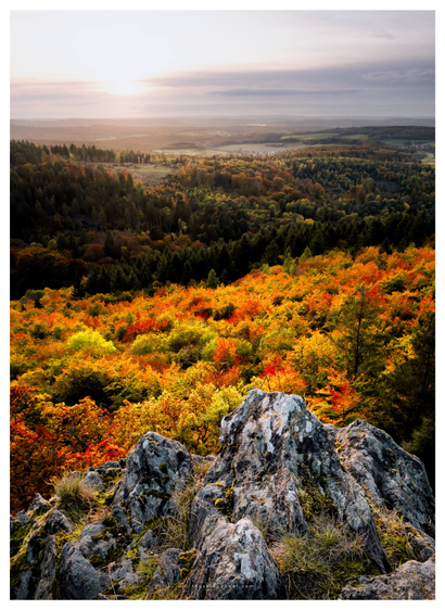 The foreground is dominated by a moss-covered rock overlooking a slope that leads down to a plain. Deciduous trees in vibrant autumn colors grow on the slope. The plain is covered with forest, which is partially illuminated by the setting sun.