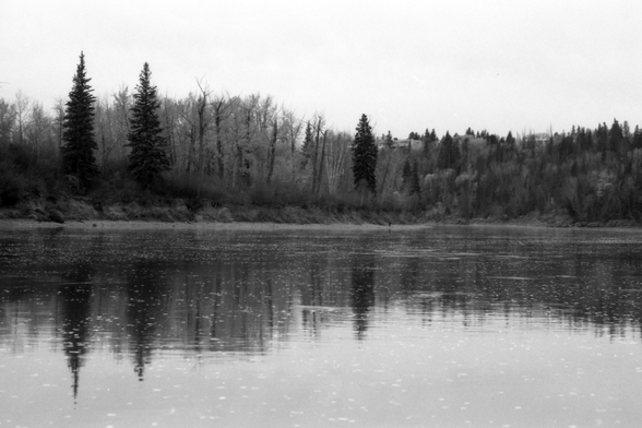 A black and white photograph of the Edmonton river valley.  Two trees (which, when I visit them, call them out as "the twins") stand out and occupy the left side of the frame.  The forest in the background is reflected on the river.