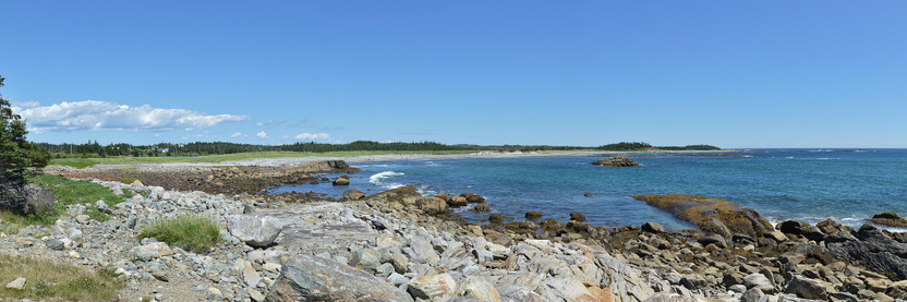 A panoramic photo of a rocky coast. There's conifer forest in the distance. The sky is mainly clear and blue.