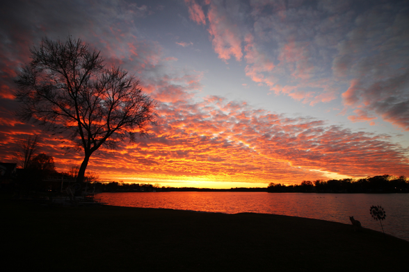 Sunset photo of orange clouds reflected in a lake with light pink clouds at the top and a bare tree to the left.
