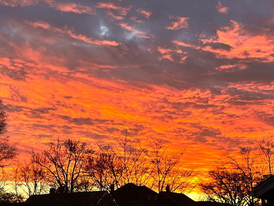 Orange overcast clouds at sunset with flecks of blue near the top of the frame. Set against the sky are some houses’ rooftops and bare trees in silhouette.