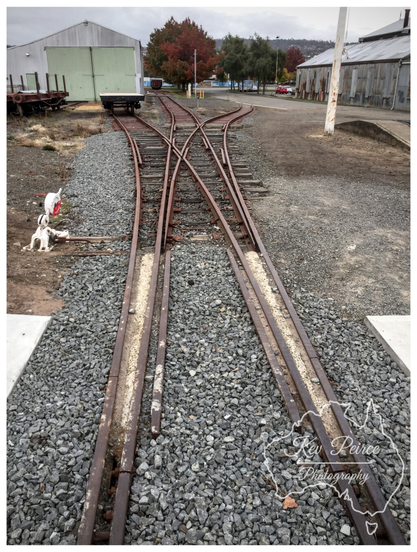 A high angle photo looking down the centre of three rusty, disused railway tracks converging at a switch in a gravel yard.  The two foreground tracks are flanked by concrete slabs. In the background, there is a low, pale green shed on the left, an old carriage on a siding, and trees with red and orange autumn foliage against a hill.