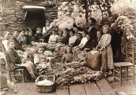 La lavorazione della seta in Sicilia