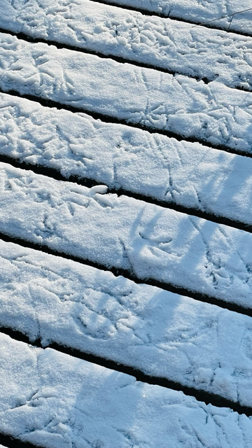 In Hamburg hat es heute Nacht geschneit!
