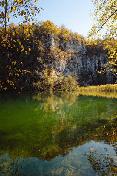 A calm lake among golden trees, it is sunny, you can see the autumn weather. There are branches that make a frame. The water has neon green color.
