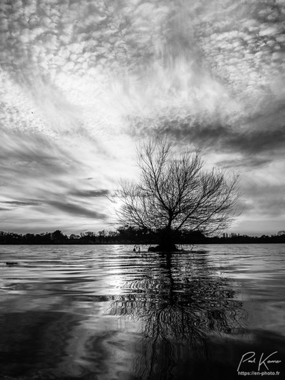 Photographie monochrome en noir et blanc en format vertical présentant un petit arbre poussant à quelques mètres de la rive d'un étang.
La photo ayant été captée relativement près de la surface de l'étang, la part de reflet représente environ les deux cinquièmes inférieurs du cadrage alors que le ciel en représente le complément.
Le soleil couchant est derrière l'arbre, proche de l'horizonde la rive opposée, dans un ciel où on distingue différents types de nuages, très bien mis en lumière avec ce soleil rasant. Le reflet de l'arbre et du ciel est également magnifique, encore embelli par une très légère ondulation de la surface de l'eau.