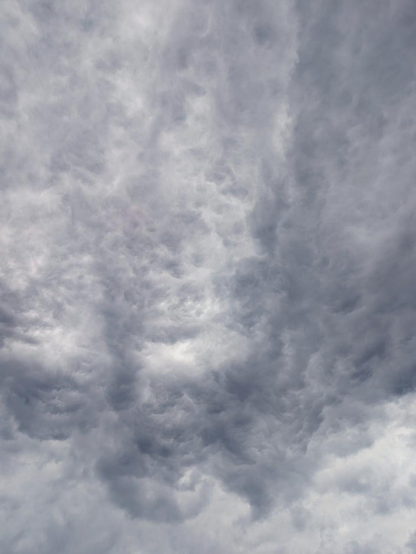 モヤモヤと青っぽい曇り空。