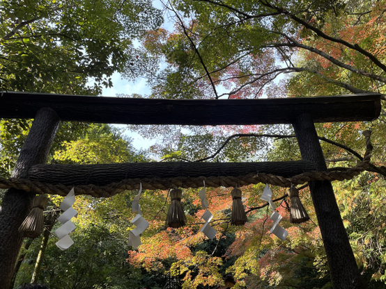 Charming little Shintō shrine in the famous bamboo forest (shown in the previous batch)