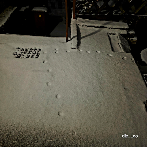 Spuren im Schnee ... (Katze)

Traces in the snow ... (cat)