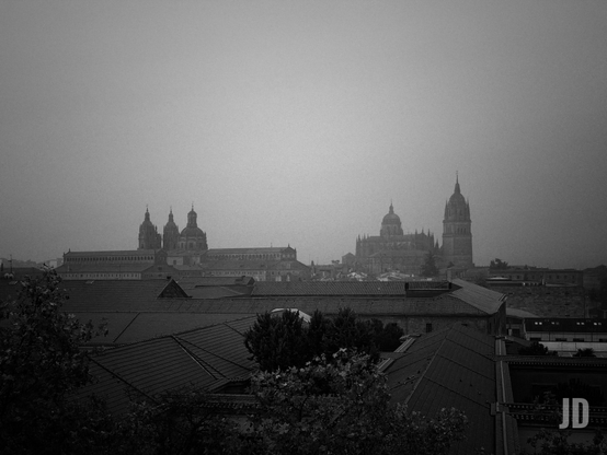 Una imagen en blanco y negro que captura una panorámica urbana dominada por grandes estructuras religiosas, probablemente catedrales o iglesias, elevándose sobre los tejados de la ciudad.
Detalles clave:
• Tono: La fotografía es monocromática y el ambiente es nebuloso, brumoso o nublado, lo que le da un aspecto dramático y algo melancólico.
• Primer plano: Se aprecian los tejados oscuros de edificios bajos y la silueta de algunos árboles o vegetación.
• Fondo: Destaca un skyline con varias cúpulas y torres góticas o barrocas. La estructura principal a la derecha tiene una torre alta con pináculos, característica de una catedral. Por el perfil arquitectónico, es muy probable que se trate de la ciudad de Salamanca, España, y que la estructura principal sea la Catedral Nueva.