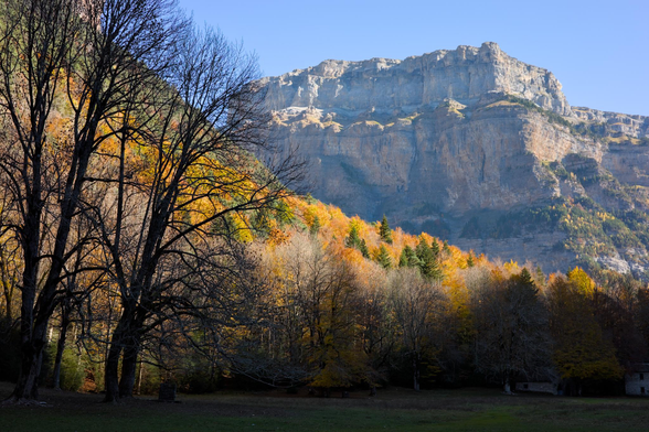 Fotografía de un paisaje montañoso. Sobre una pradera de hierba a la sombra vemos a mano izquierda la silueta de unos árboles a la sombra también. Sobre ellos comienza la linde del bosque en la ladera de la montaña. Colores verdes amarillos y naranjas se mezclan. Tras la primera ladera un promontorio rocoso se alza imponente detras en la lejania. Sobre el el cielo azul.