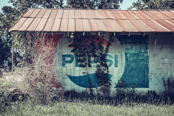 Abandoned roadside building with weathered corrugated metal roof in reddish-brown tones. The building displays a faded vintage Pepsi logo with red, white, and blue colors, heavily obscured by overgrown vines and vegetation climbing up the wall. Dry, overgrown grass and bare bushes fill the foreground. Mature trees with dense foliage are visible in the background against a light blue sky. The structure shows significant deterioration and neglect, characteristic of rural Southern architecture.