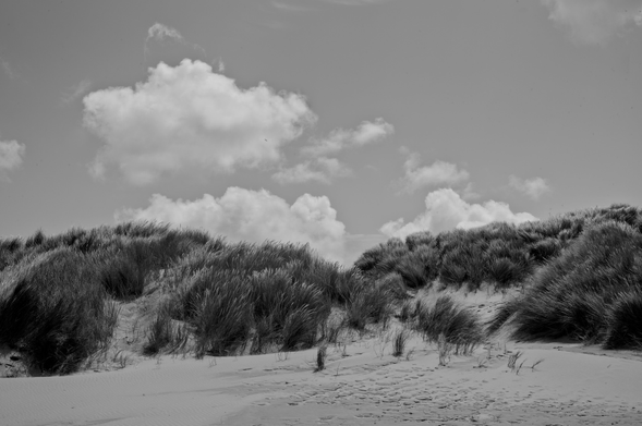 the day after the night, 2025