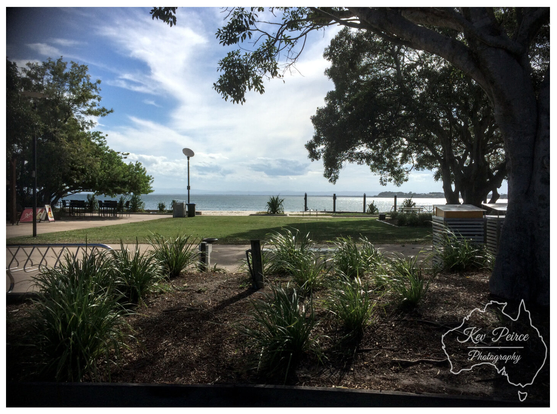 A wide angle landscape photograph capturing a sunny day overlooking the ocean at Bribie Island, Queensland.  The foreground features planters with spiky green grasses and dark soil. Beyond the grass is a strip of bright green lawn leading to a calm blue water vista.  Large, leafy trees frame the scene on the left and right, with sun filtering through the branches. On the left, a picnic area is visible under the shade. The sky is blue with wispy white clouds.