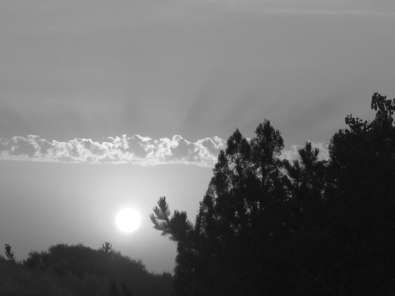 Sunrise, black and white, photo