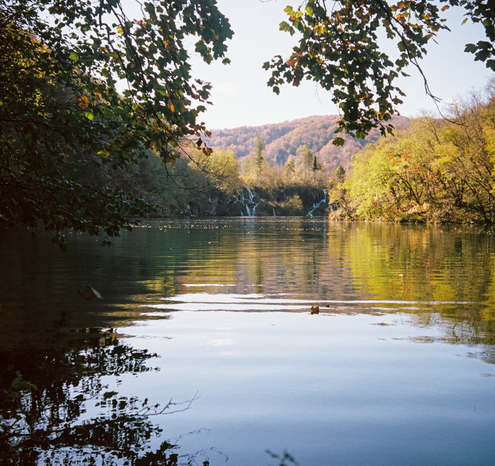 A forest with a lake, whose reflection is visible in the water. Golden trees grow here. Branches appear on the left side of the frame.