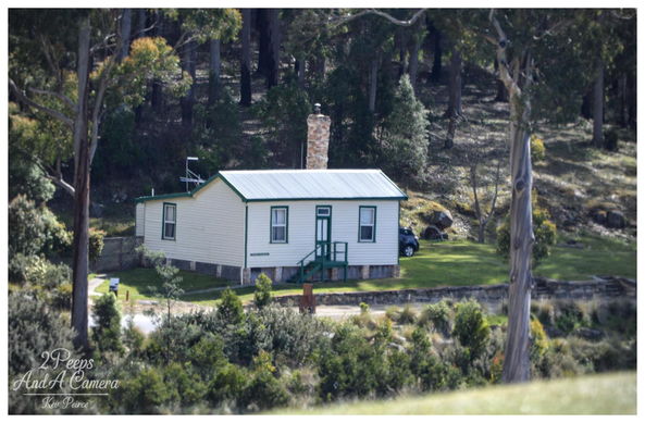 A photograph of a small, one story white and cream cottage with a dark green trim, featuring a brick chimney and a small set of dark green stairs leading to the front door.

The house is situated on a grassy slope, backed by a dense, dark forest of tall trees. A vehicle is partially visible parked on the right side of the house.

The foreground shows various shrubs and trees, with a distinctive light barked tree framing the right side of the image.