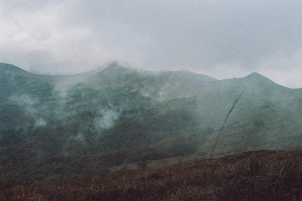 A heathland with dry grass, trees visible and mist breaking through them, in the background there are mountains