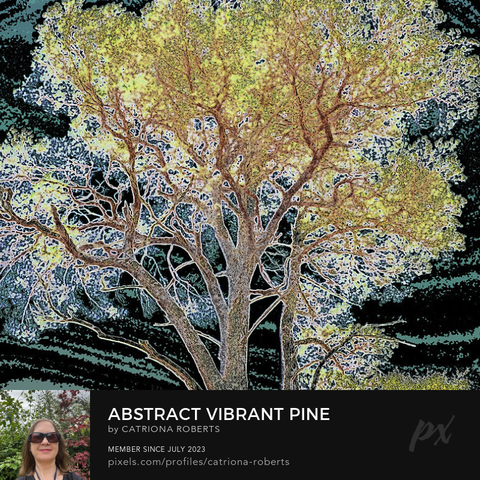 Coloured photograph featuring the design - 

Abstract Vibrant Pine.

I took this photo during a lovely nature walk through the Scottish Highlands and laterally digitally colour edited it. 

Features a Pine tree with intricate branches standing illuminated against a dark, swirling sky. 

The foliage is vibrant, creating a striking contrast.

Click links on the main post for options.
