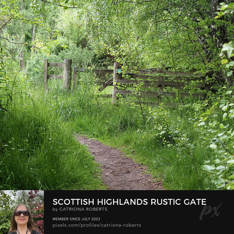 Coloured photograph featuring the design-

Scottish Highlands Rustic Gate.

I took this photo during a lovely summer nature walk through the Scottish Highlands.

Features a narrow path leading towards a wooden gate surrounded by dense greenery. 

Sunlight filters through the leaves, creating a serene ambiance.

Click links on the main post for options.
