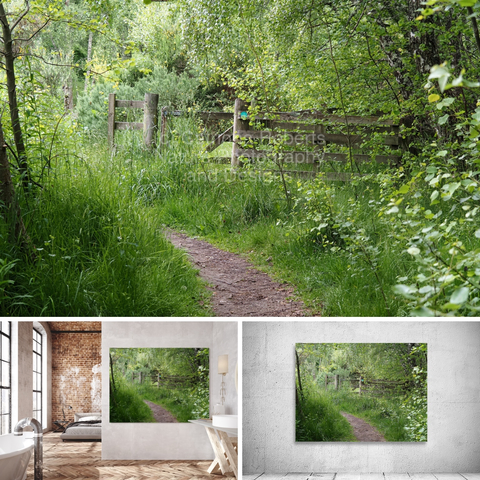 Coloured photograph featuring the design- 

Scottish Highlands Rustic Gate.

Lower left design on a Canvas Print on a bedroom/bathroom wall above. 

Lower right design on a Canvas Print on an exhibition wall.

I  took this photo during a lovely summer nature walk through the Scottish Highlands.

Features a narrow path leading towards a wooden gate surrounded by dense greenery. 

Sunlight filters through the leaves, creating a serene ambiance. 

Mockups combined in a grid format in canva.com 

Click links on the main post for options.
