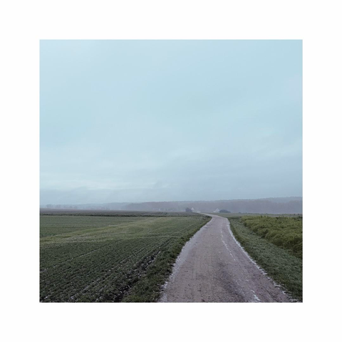 a square image showing the beginning of a trail through a misty and moody autumn landscape of some grass, fields and bushes. the trail is ending nowhere in the distance