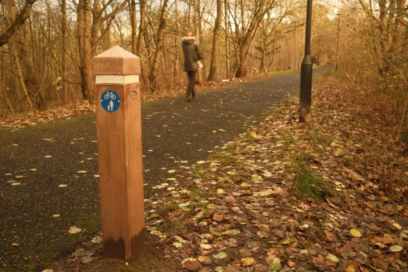 A wooden-looking post stands beside a tree-lined pathway. There are many brown leaves strewn on the ground and the light is golden.